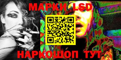 индика Прохладный