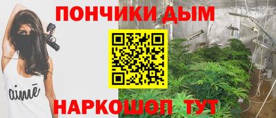 индика Прохладный
