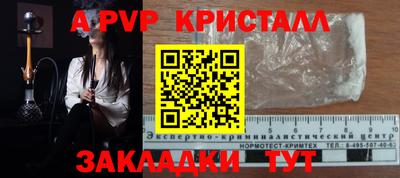 индика Прохладный