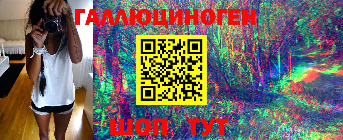 Галлюциногенные грибы Psilocybine cubensis Архангельск